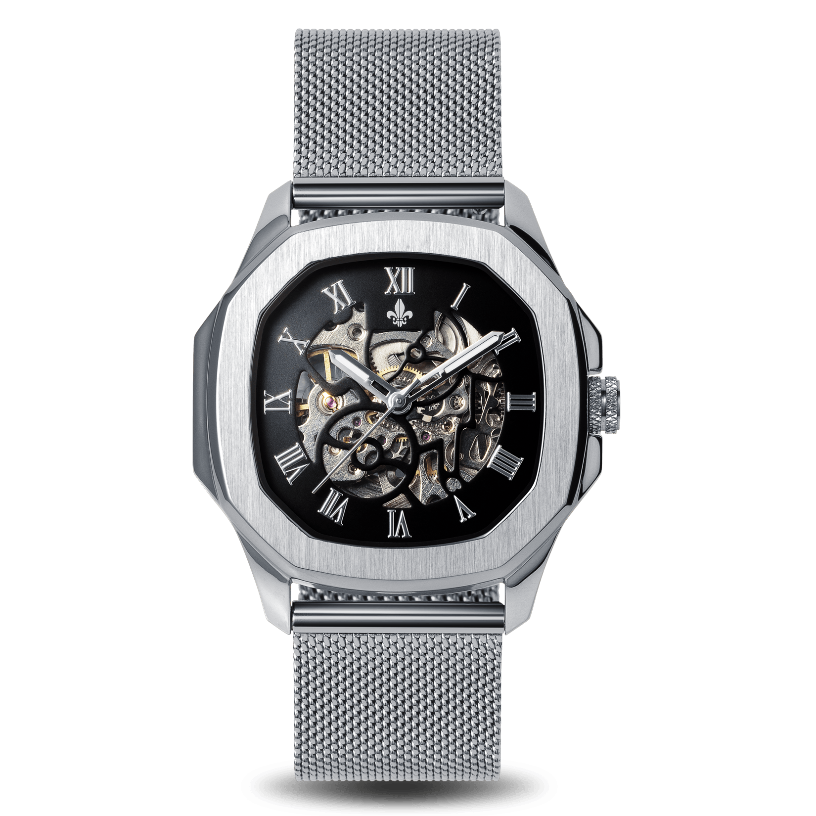The Avalon Silver + Silver Mesh Strap