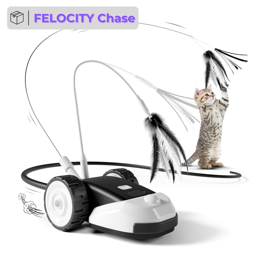 FELOCITY Chase