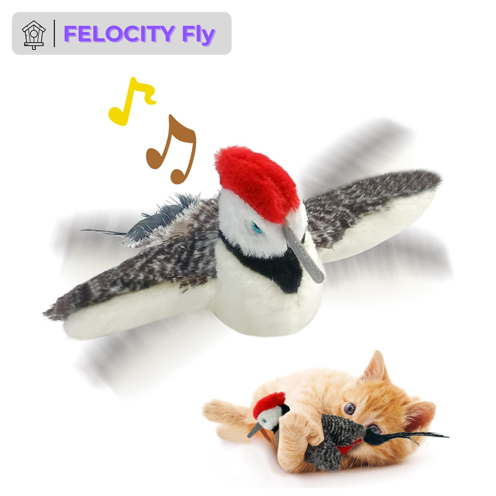 FELOCITY Fly