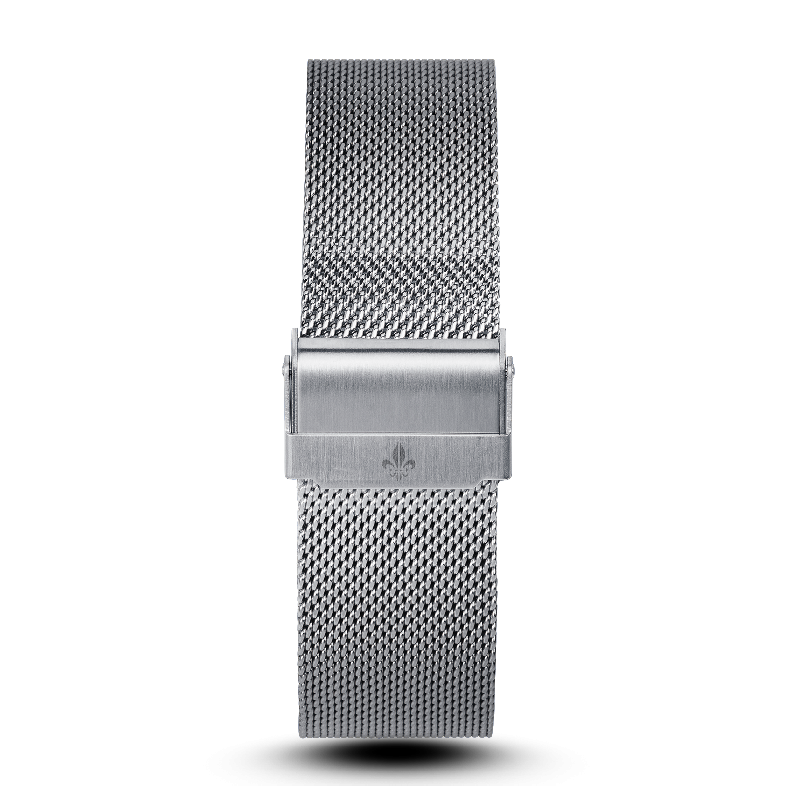 The Avalon Silver + Silver Mesh Strap